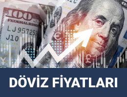 Döviz