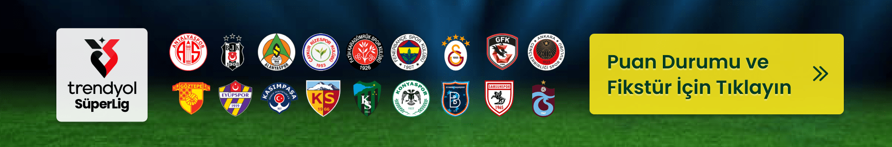 Puan Durumu & Fikstür 